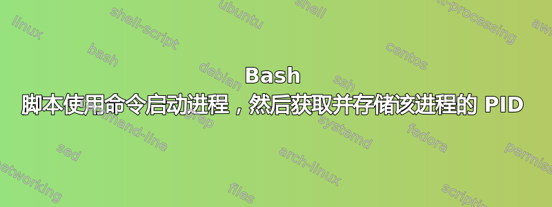 Bash 脚本使用命令启动进程，然后获取并存储该进程的 PID