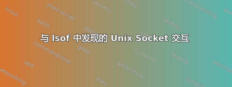 与 lsof 中发现的 Unix Socket 交互