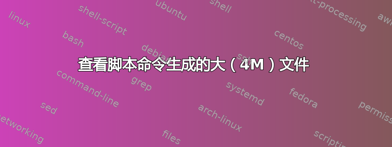 查看脚本命令生成的大（4M）文件