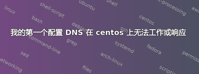 我的第一个配置 DNS 在 centos 上无法工作或响应