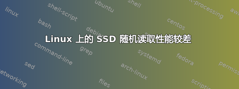 Linux 上的 SSD 随机读取性能较差