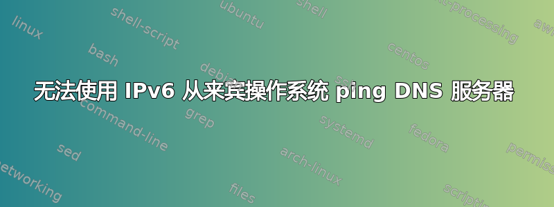 无法使用 IPv6 从来宾操作系统 ping DNS 服务器