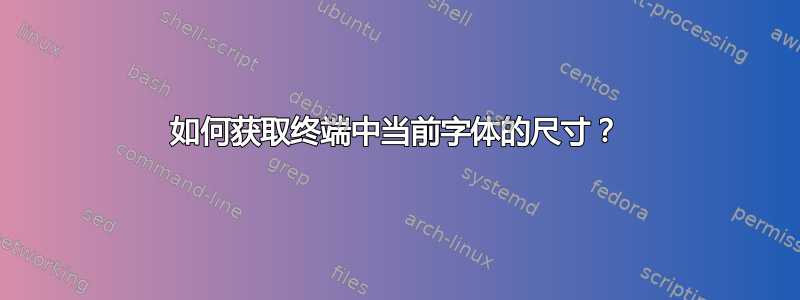 如何获取终端中当前字体的尺寸？