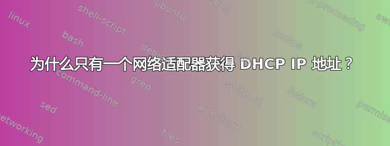 为什么只有一个网络适配器获得 DHCP IP 地址？