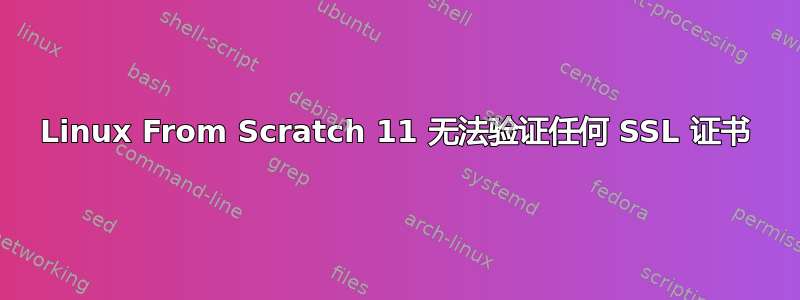 Linux From Scratch 11 无法验证任何 SSL 证书