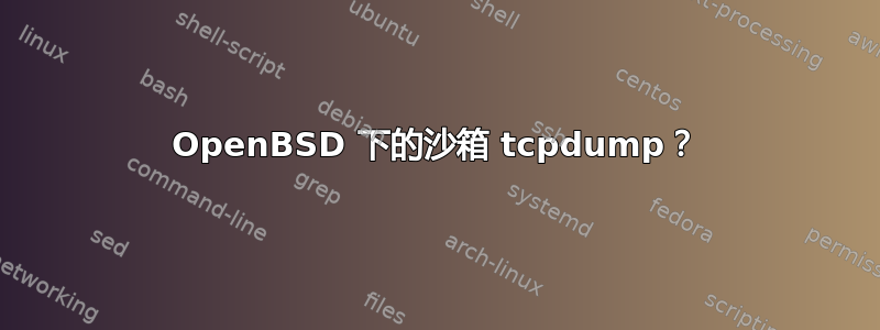 OpenBSD 下的沙箱 tcpdump？