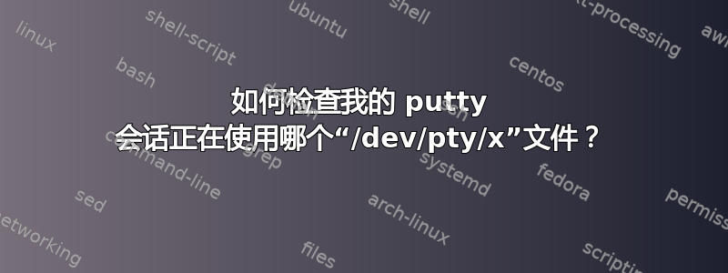 如何检查我的 putty 会话正在使用哪个“/dev/pty/x”文件？