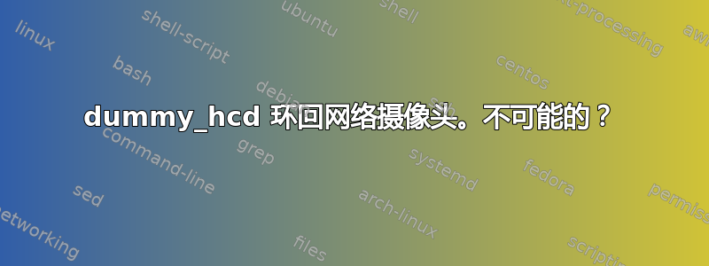 dummy_hcd 环回网络摄像头。不可能的？