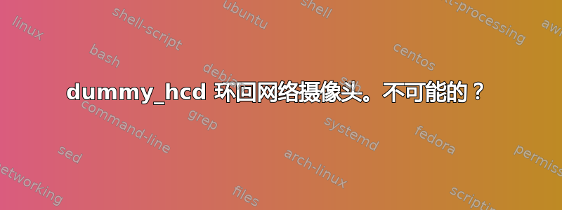 dummy_hcd 环回网络摄像头。不可能的？