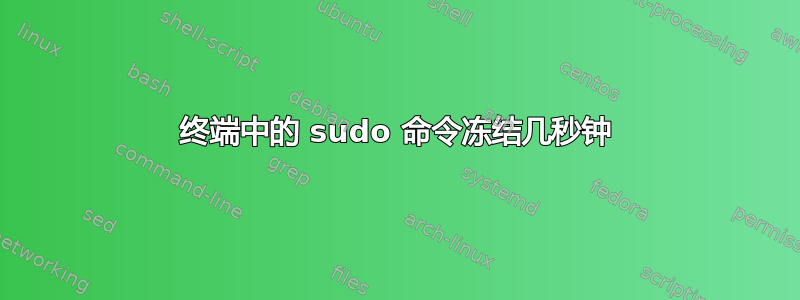 终端中的 sudo 命令冻结几秒钟