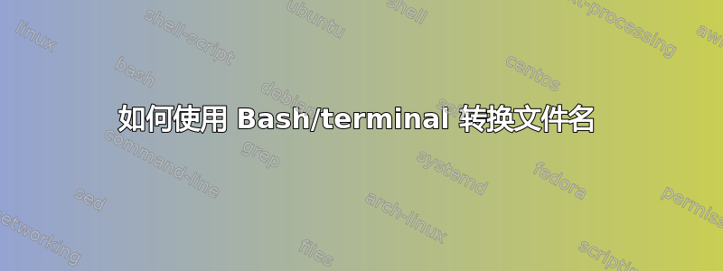 如何使用 Bash/terminal 转换文件名