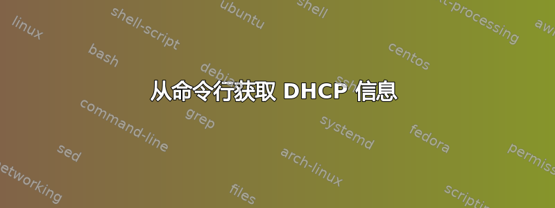 从命令行获取 DHCP 信息