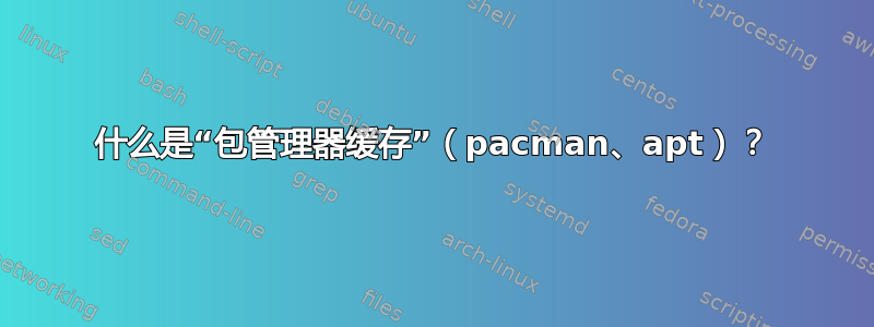 什么是“包管理器缓存”（pacman、apt）？