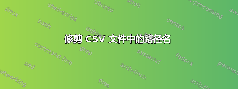 修剪 CSV 文件中的路径名