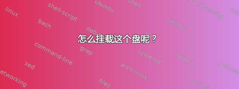 怎么挂载这个盘呢？