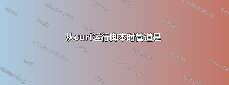 从curl运行脚本时管道是