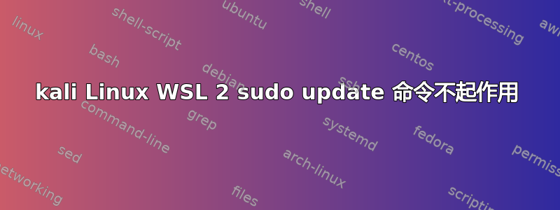 kali Linux WSL 2 sudo update 命令不起作用