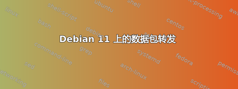 Debian 11 上的数据包转发