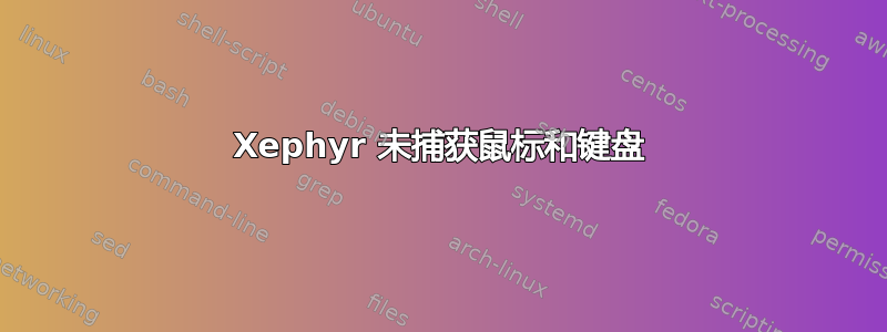 Xephyr 未捕获鼠标和键盘