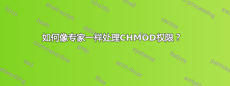 如何像专家一样处理CHMOD权限？ 