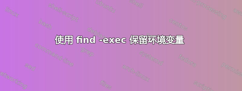 使用 find -exec 保留环境变量