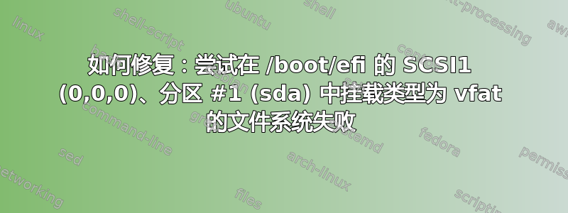 如何修复：尝试在 /boot/efi 的 SCSI1 (0,0,0)、分区 #1 (sda) 中挂载类型为 vfat 的文件系统失败