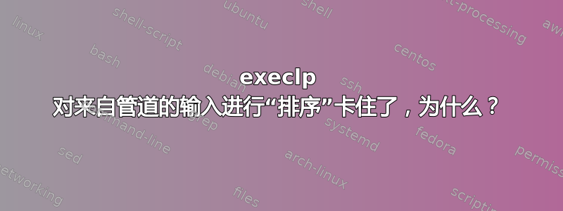 execlp 对来自管道的输入进行“排序”卡住了，为什么？