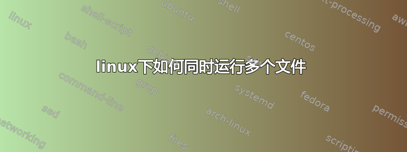 linux下如何同时运行多个文件