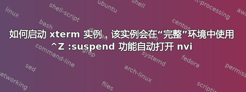 如何启动 xterm 实例，该实例会在“完整”环境中使用 ^Z :suspend 功能自动打开 nvi