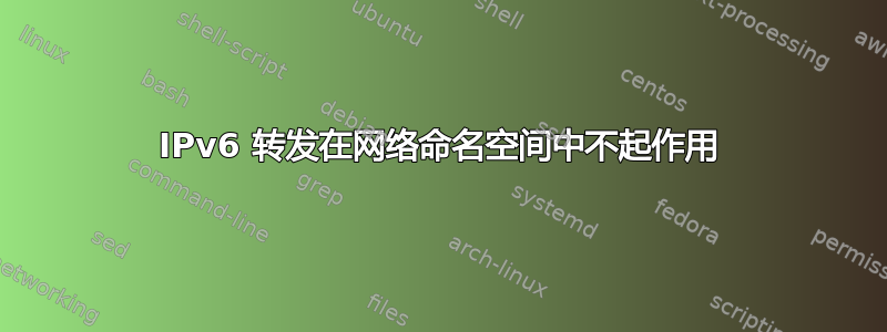 IPv6 转发在网络命名空间中不起作用