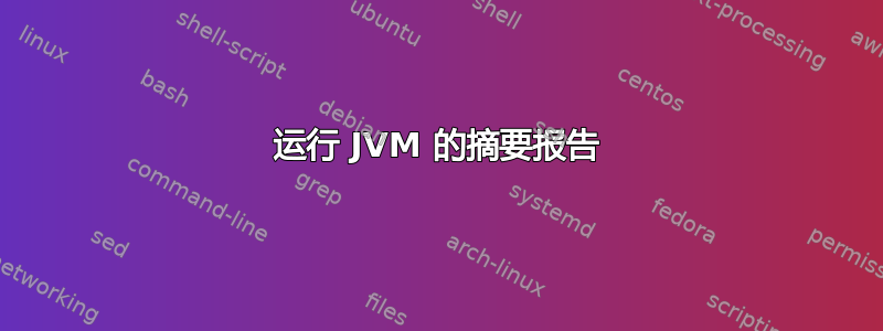 运行 JVM 的摘要报告