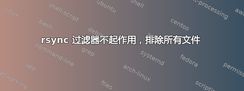 rsync 过滤器不起作用，排除所有文件