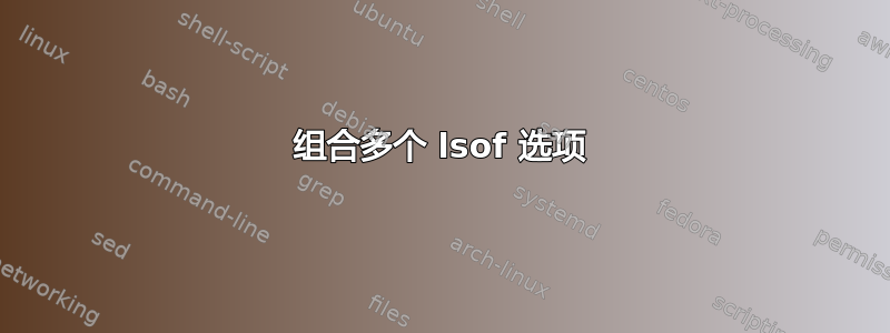 组合多个 lsof 选项