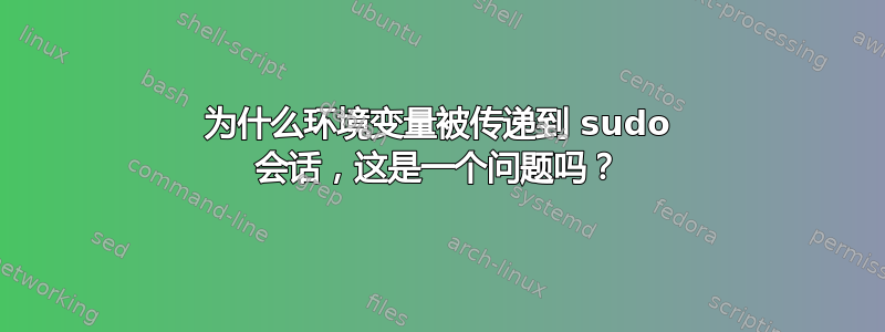 为什么环境变量被传递到 sudo 会话，这是一个问题吗？