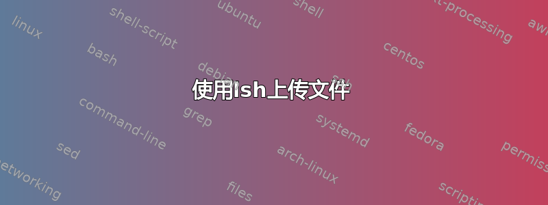 使用lsh上传文件