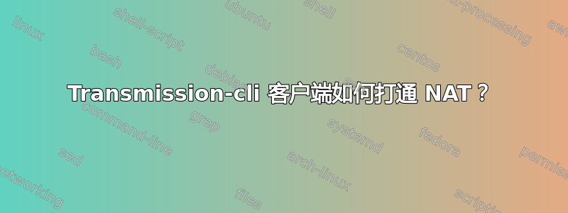 Transmission-cli 客户端如何打通 NAT？