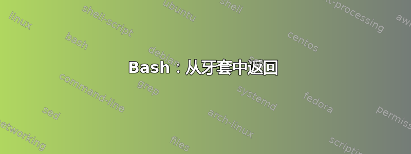 Bash：从牙套中返回