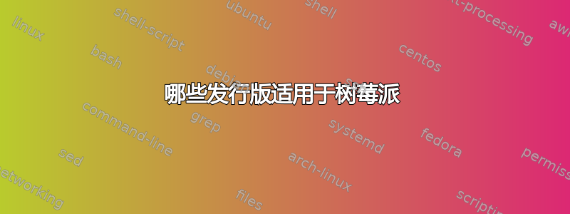 哪些发行版适用于树莓派