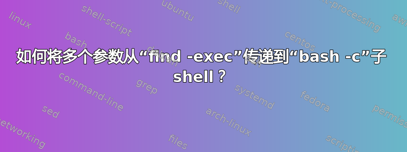 如何将多个参数从“find -exec”传递到“bash -c”子 shell？