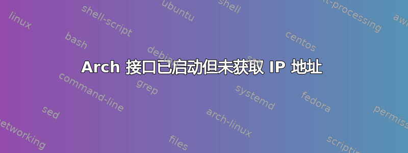 Arch 接口已启动但未获取 IP 地址