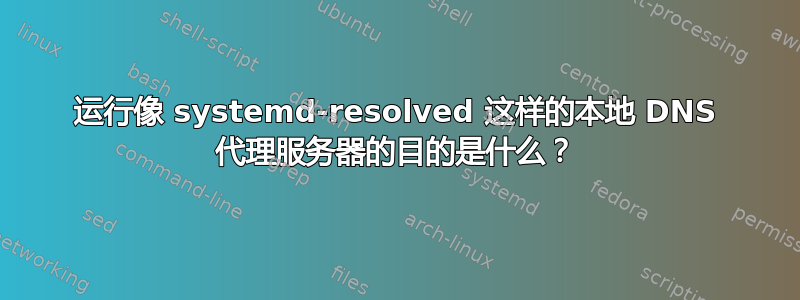 运行像 systemd-resolved 这样的本地 DNS 代理服务器的目的是什么？