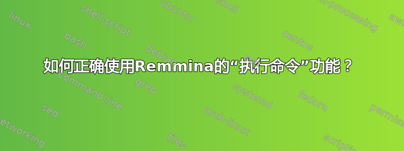 如何正确使用Remmina的“执行命令”功能？