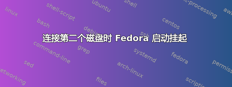 连接第二个磁盘时 Fedora 启动挂起