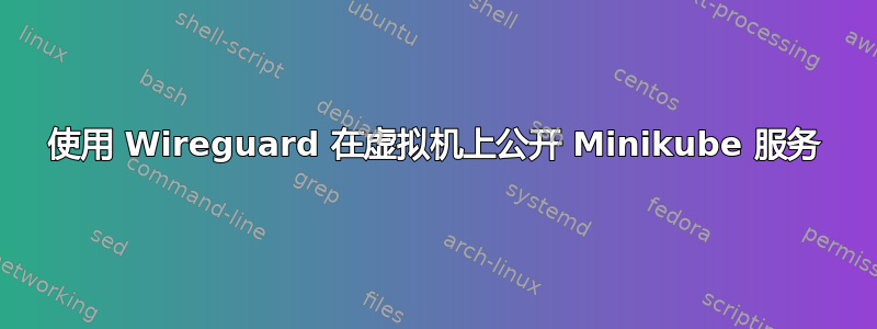 使用 Wireguard 在虚拟机上公开 Minikube 服务