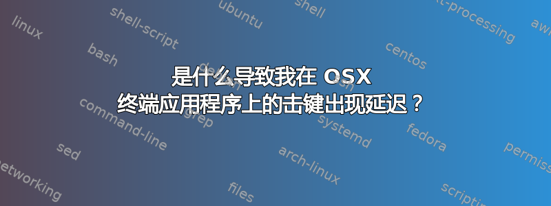 是什么导致我在 OSX 终端应用程序上的击键出现延迟？