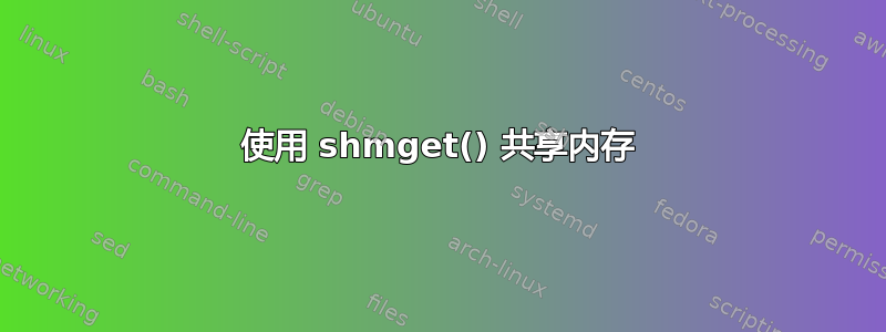 使用 shmget() 共享内存