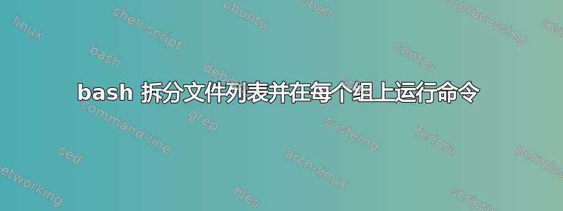 bash 拆分文件列表并在每个组上运行命令