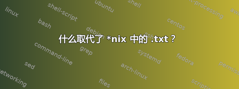 什么取代了 *nix 中的 .txt？