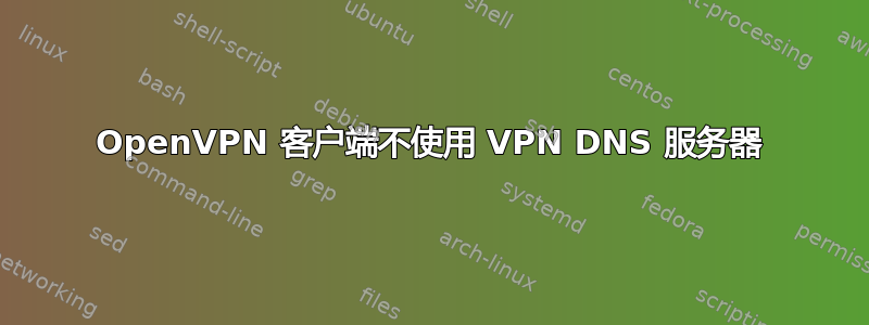 OpenVPN 客户端不使用 VPN DNS 服务器