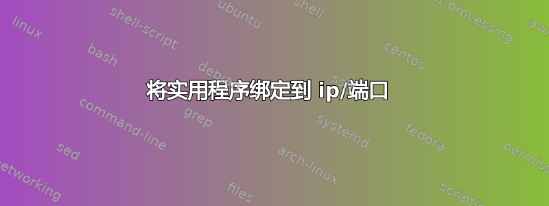 将实用程序绑定到 ip/端口 